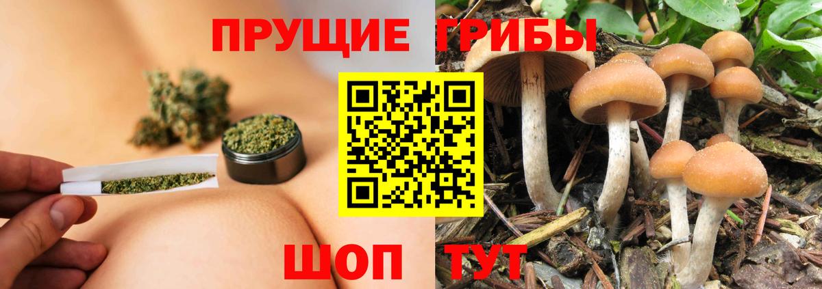 Псилоцибиновые грибы ЛСД  Вход с VPN  Коммунар 